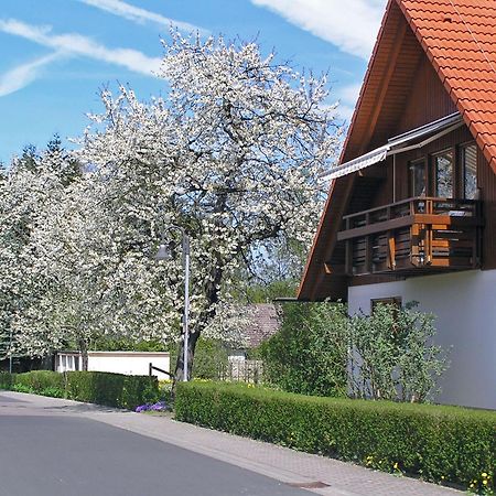 Ferienwohnung Am Schlosspark Schlitz Exteriér fotografie